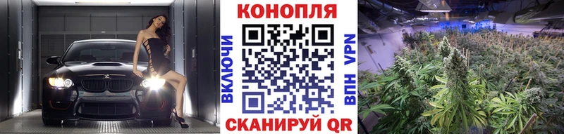 купить   Богородск  Шишки марихуана VHQ 